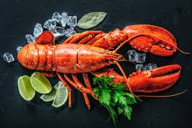Lobster